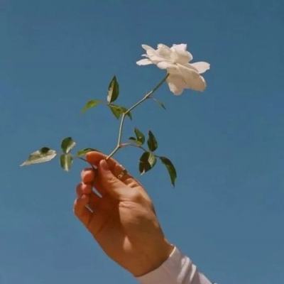 大罗幻境游戏
